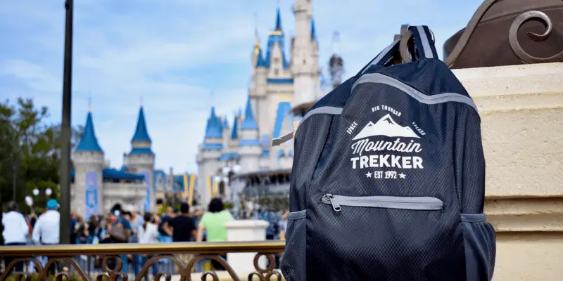 Best Backpack For Disney in 2023