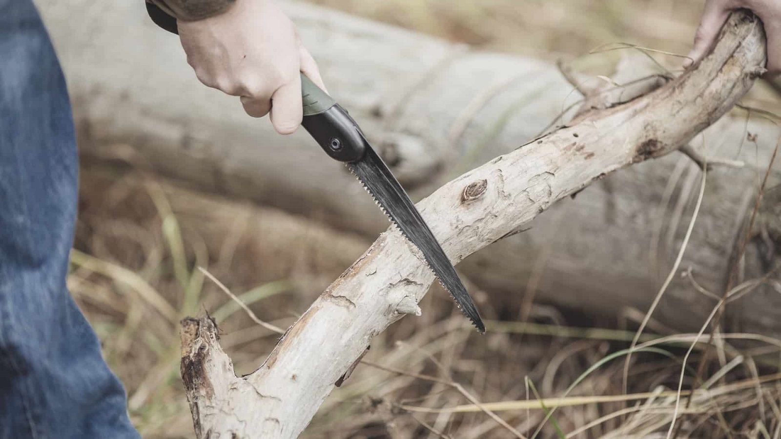 Top 10 Best Backpacking Saws [August 2024]