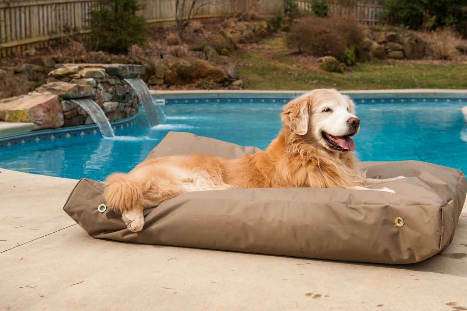 Top 10 Best Backpacking Dog Beds [August 2024]