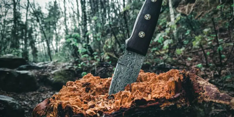Best Backpacking Knife in 2023